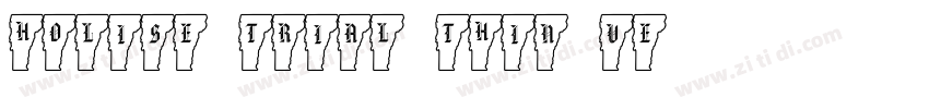 HOLISE_TRIAL Thin Ve字体转换